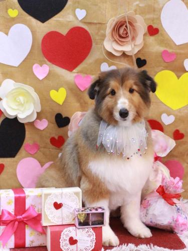 20230224リクくん